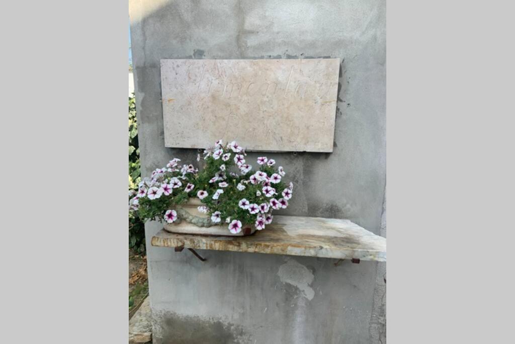 Antica Casa Nel Borgo Apartment Pietrasanta Luaran gambar