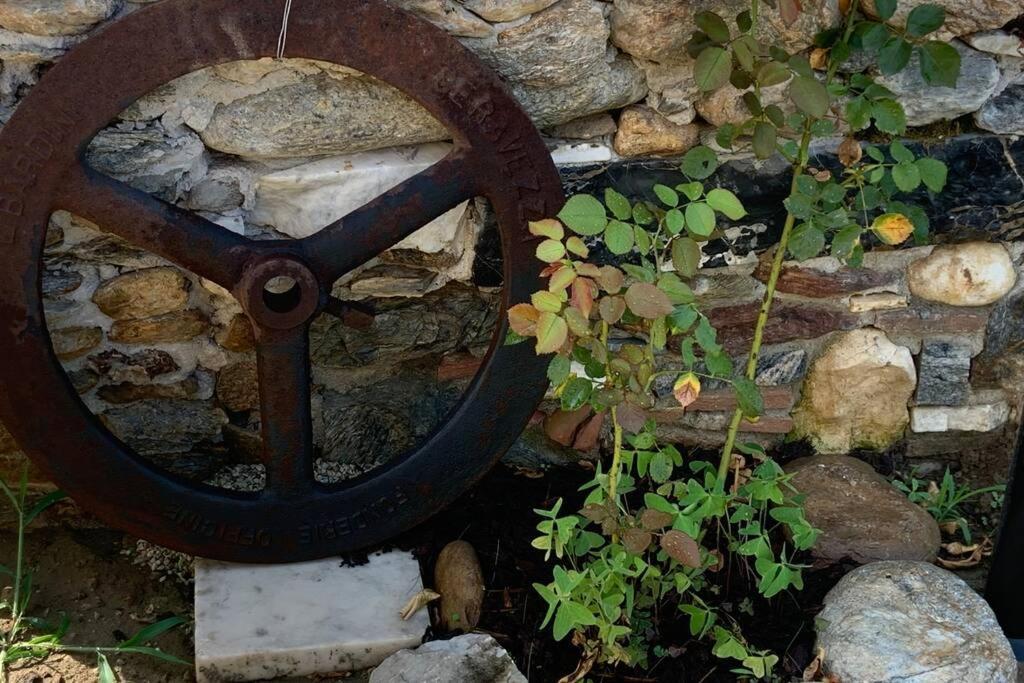 Antica Casa Nel Borgo Apartment Pietrasanta Luaran gambar