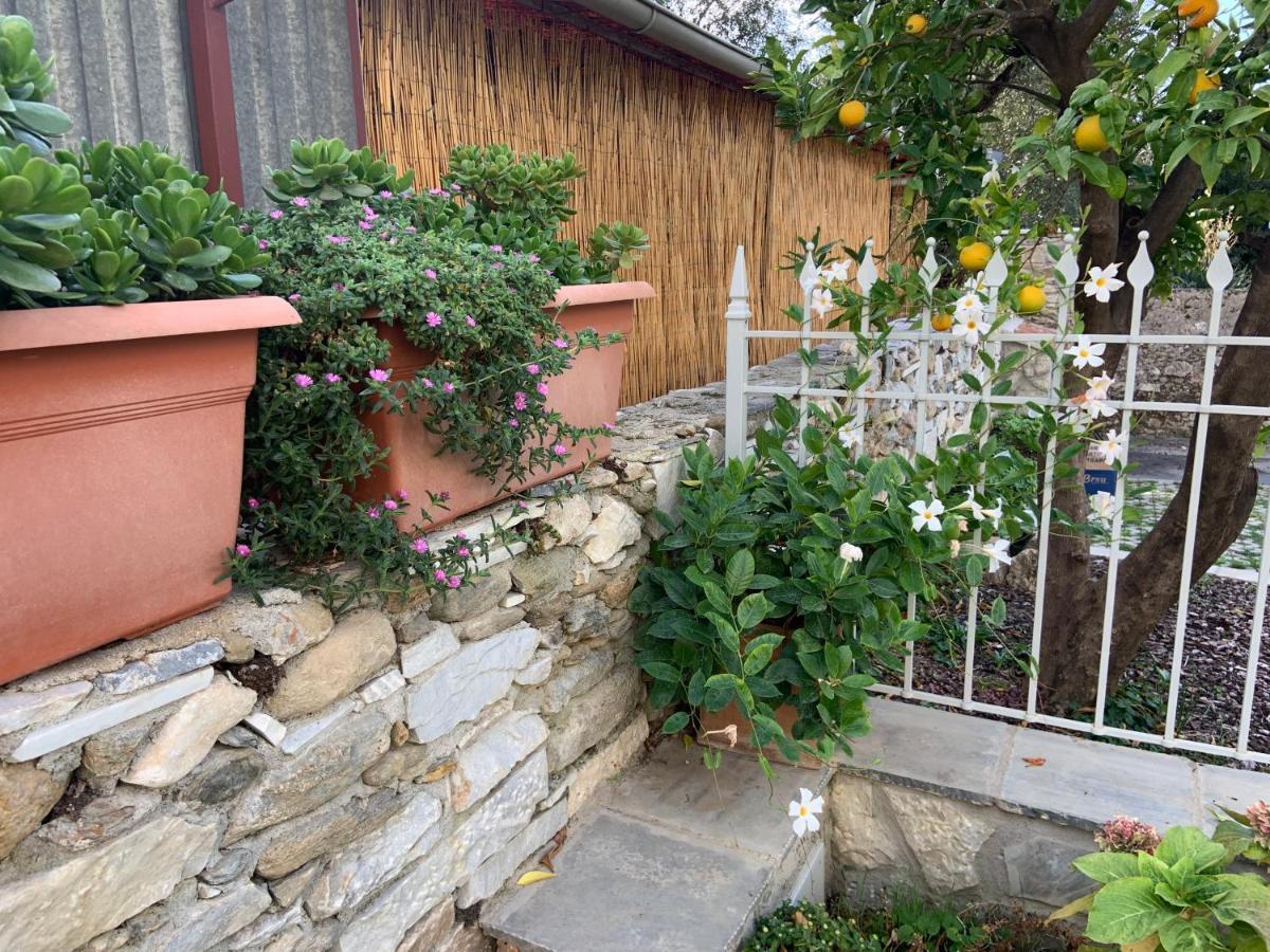 Antica Casa Nel Borgo Apartment Pietrasanta Luaran gambar